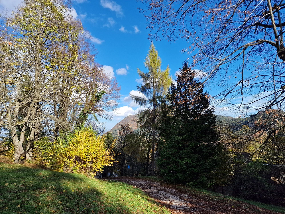 Mrzlica, 25. 10. 2025