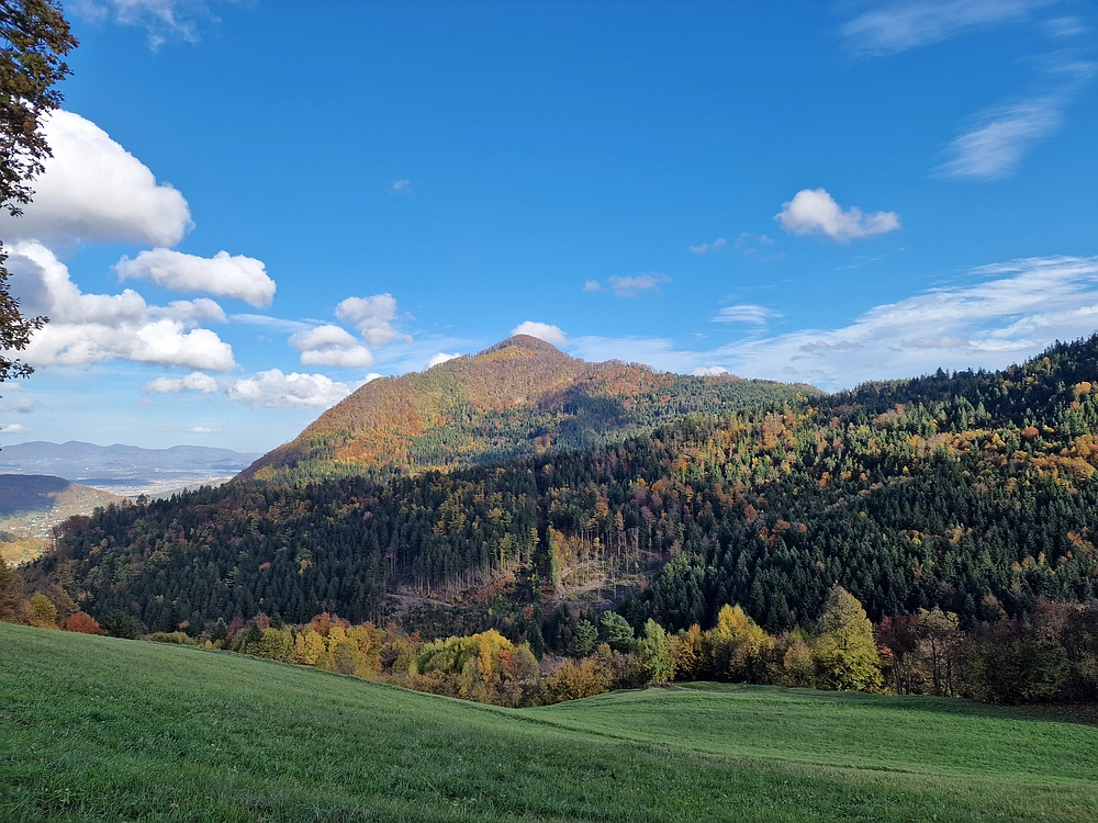 Mrzlica, 25. 10. 2025