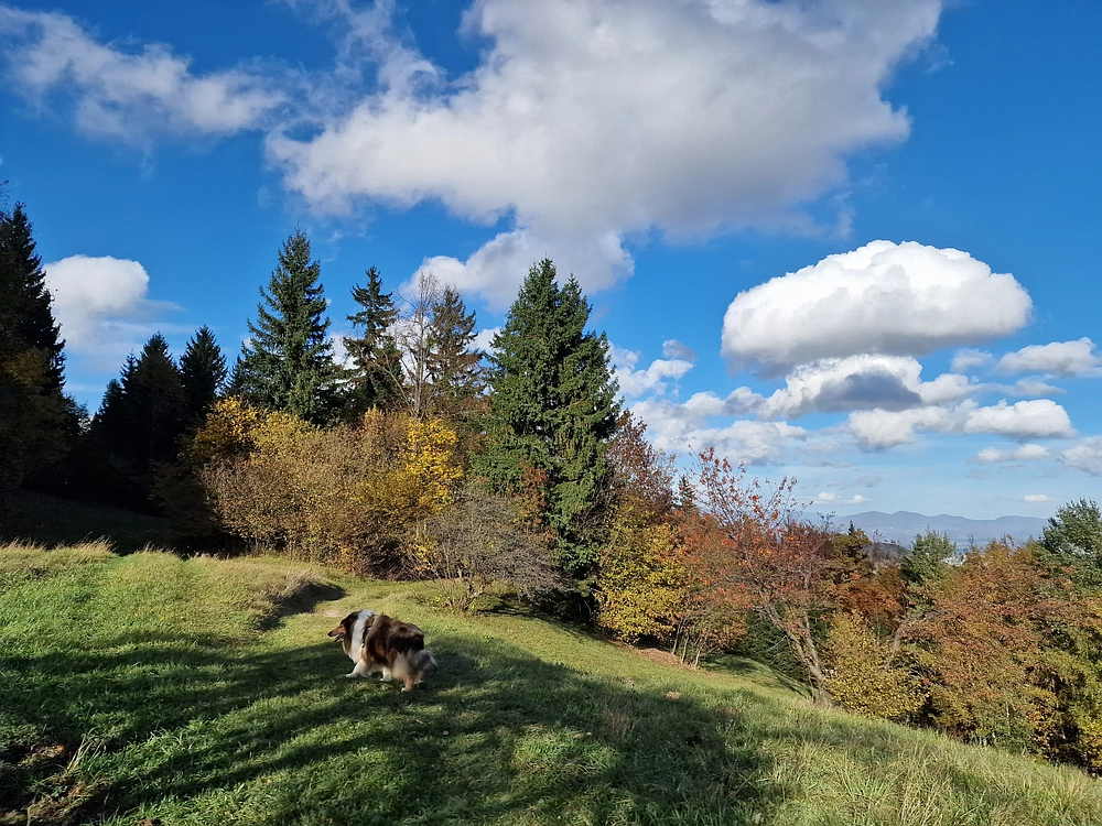 Mrzlica, 25. 10. 2025