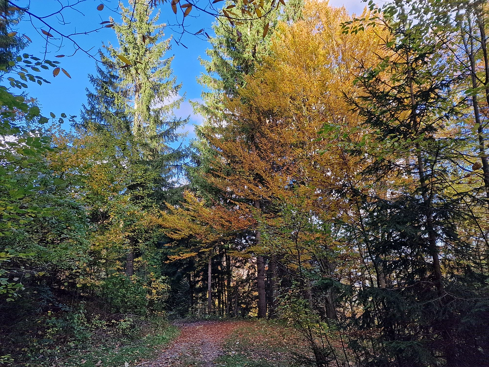 Mrzlica, 25. 10. 2025