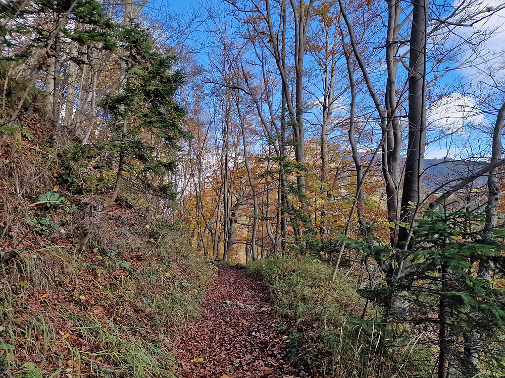 Mrzlica, 25. 10. 2025