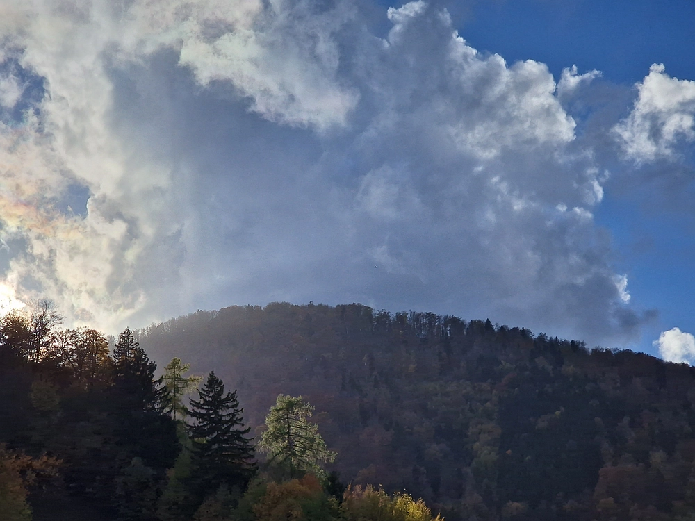 Mrzlica, 25. 10. 2025