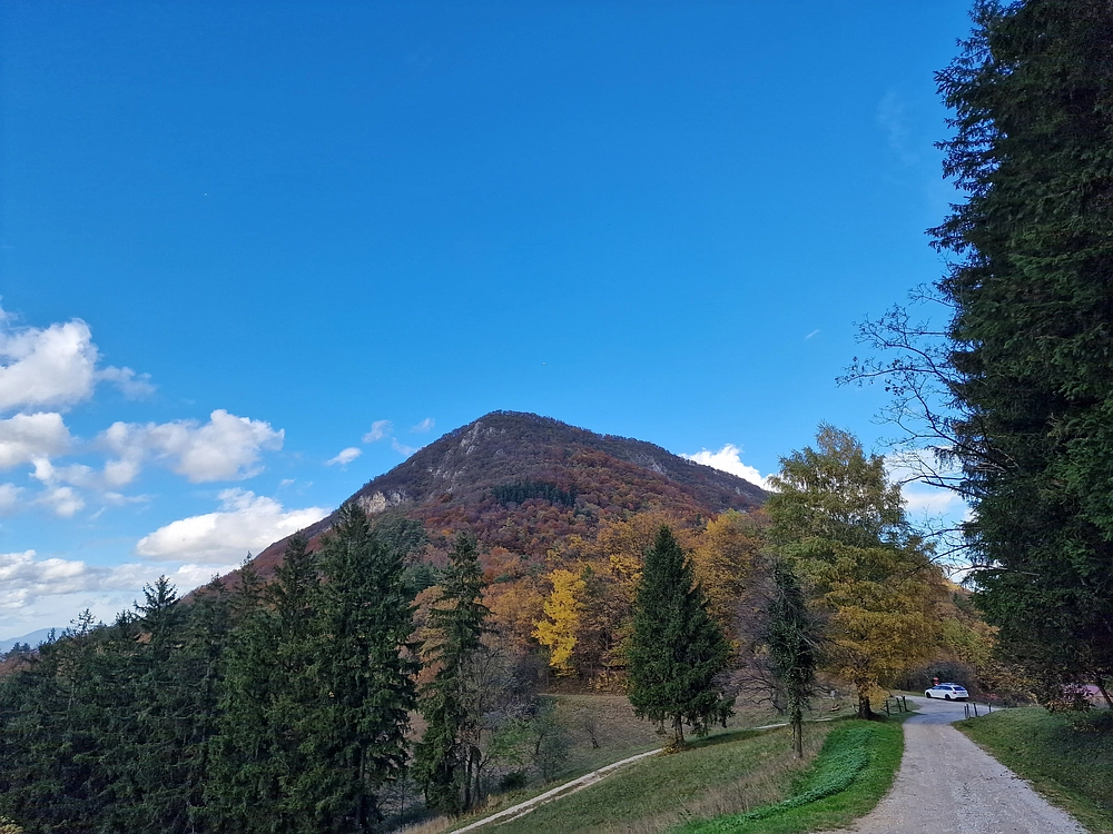 Mrzlica, 25. 10. 2025