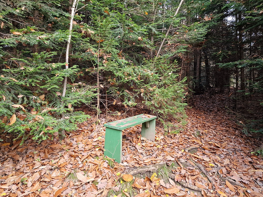 Mrzlica čez Zg. Čeče, 29. 10. 2025