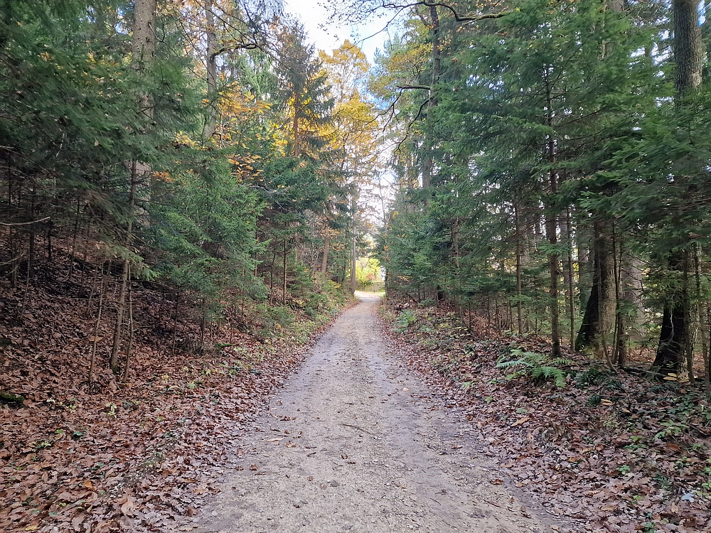 Mrzlica čez Zg. Čeče, 29. 10. 2025