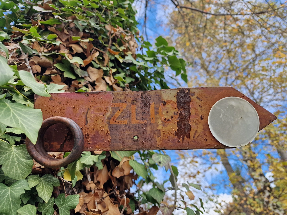 Mrzlica čez Zg. Čeče, 29. 10. 2025