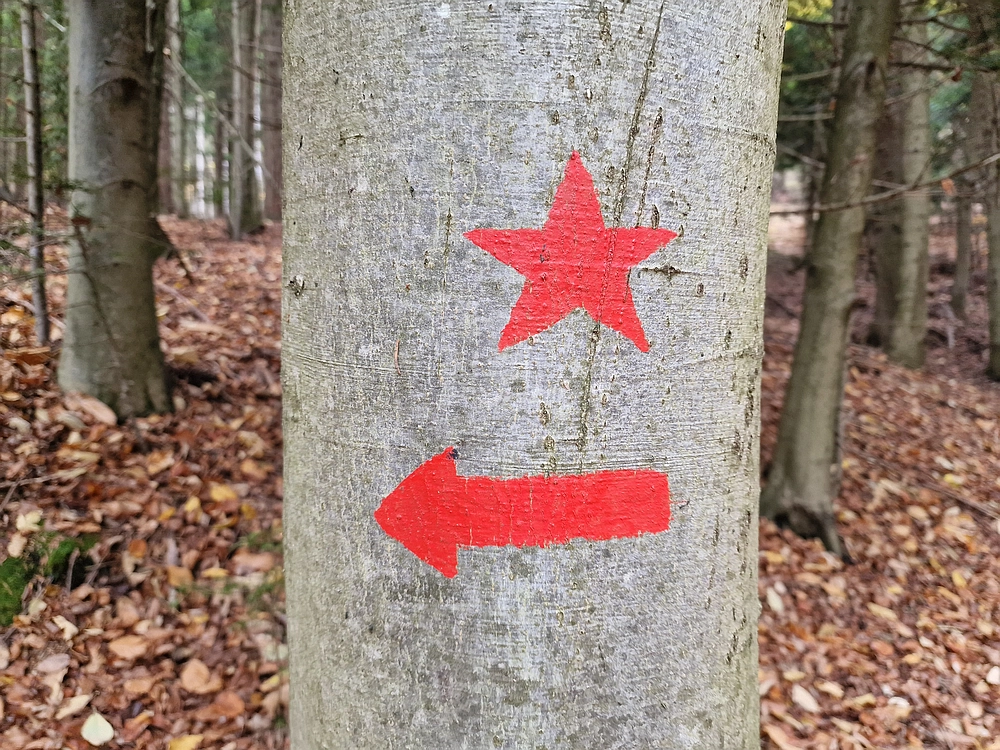 Mrzlica čez Zg. Čeče, 29. 10. 2025