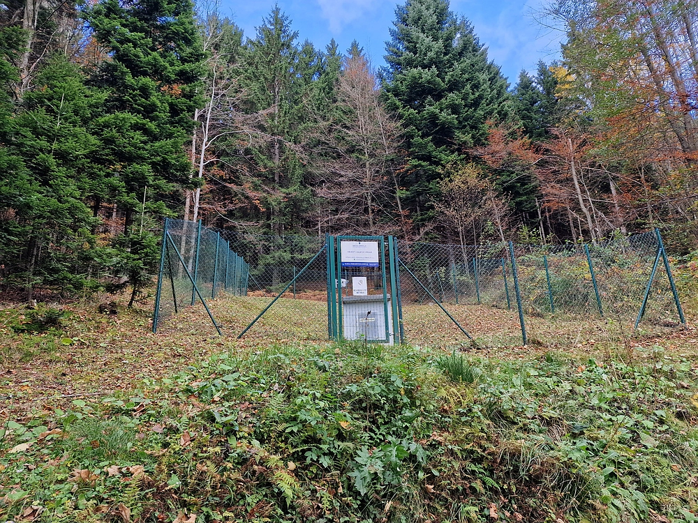 Mrzlica čez Zg. Čeče, 29. 10. 2025