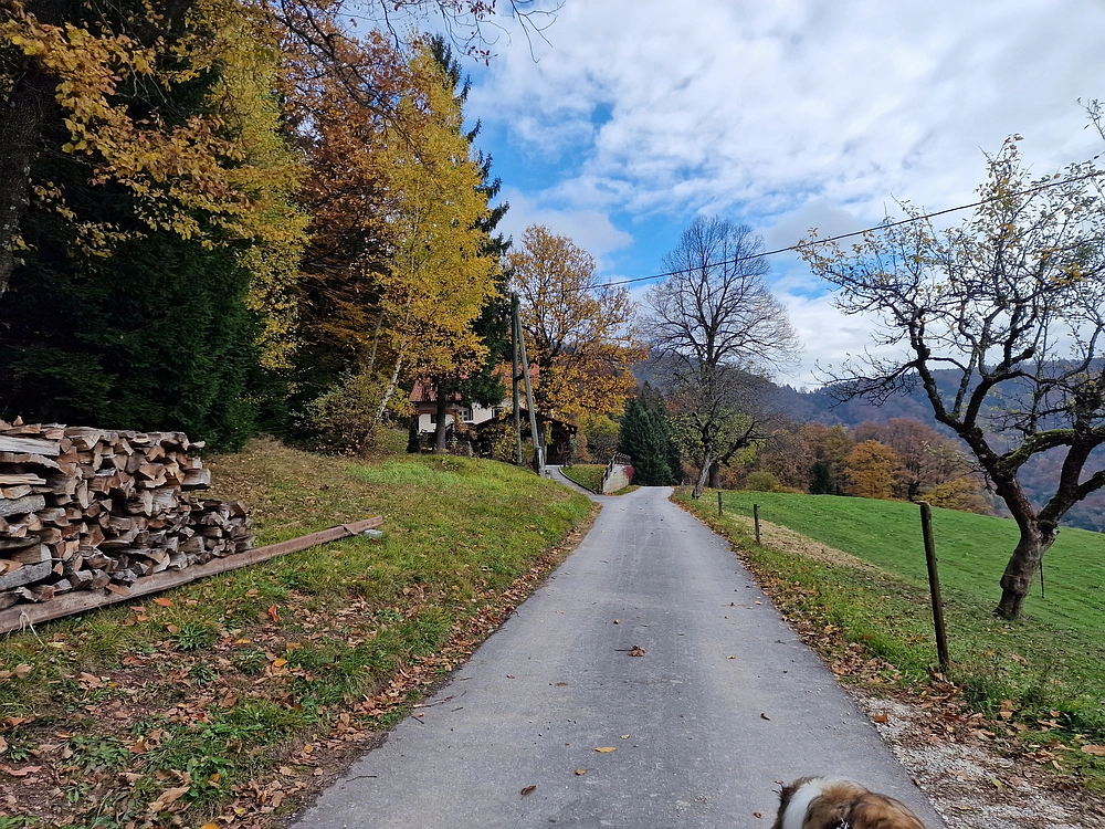 Mrzlica čez Zg. Čeče, 29. 10. 2025