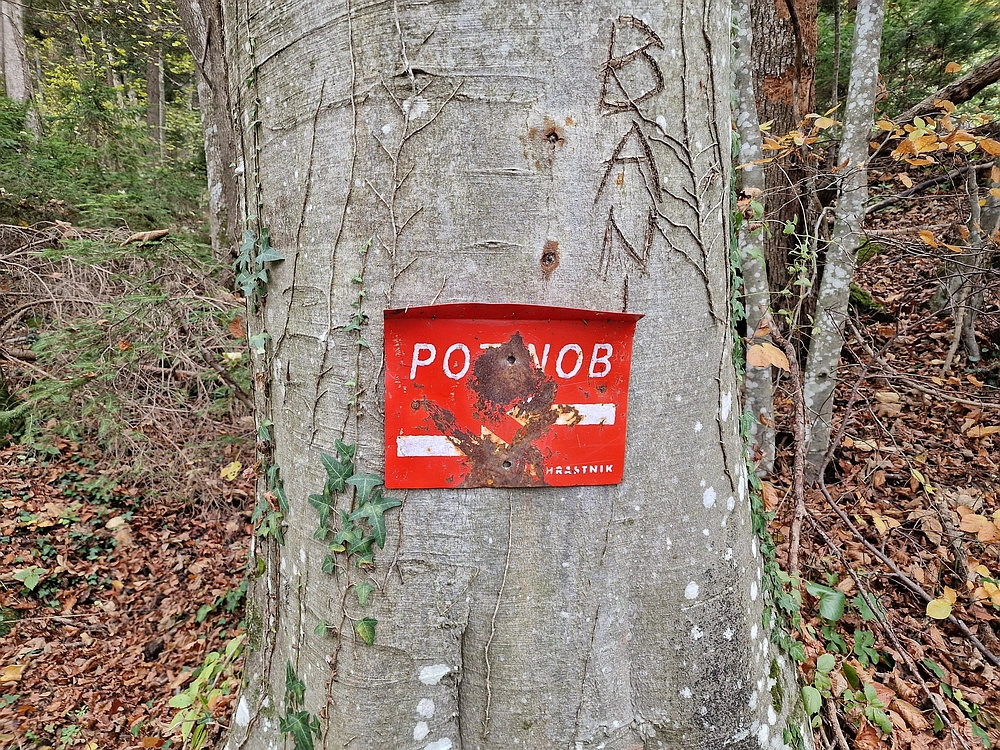 Mrzlica čez Zg. Čeče, 29. 10. 2025