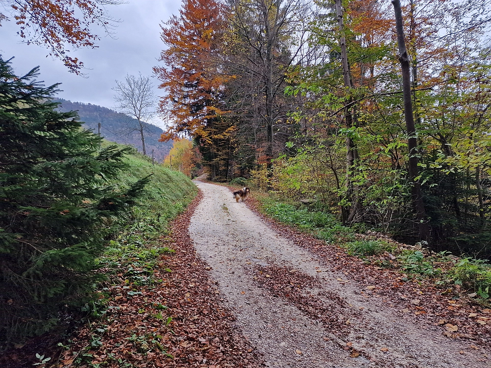 Mrzlica čez Zg. Čeče, 29. 10. 2025