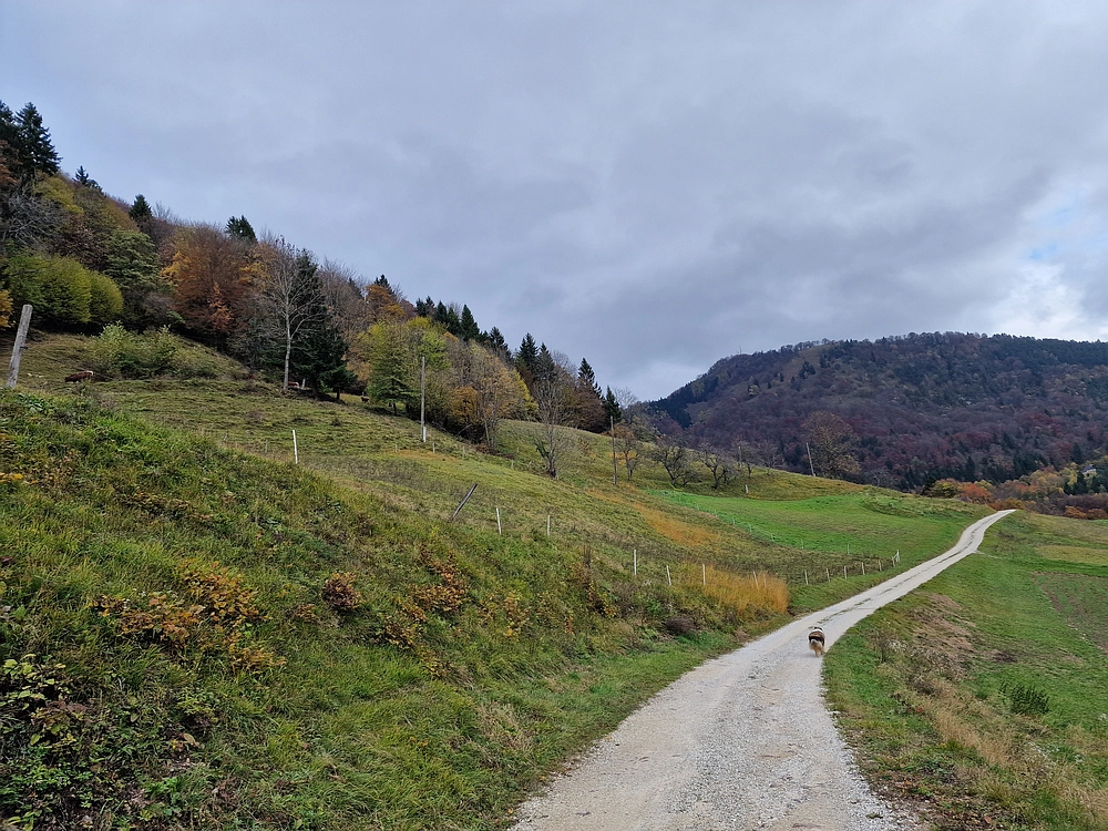 Mrzlica čez Zg. Čeče, 29. 10. 2025