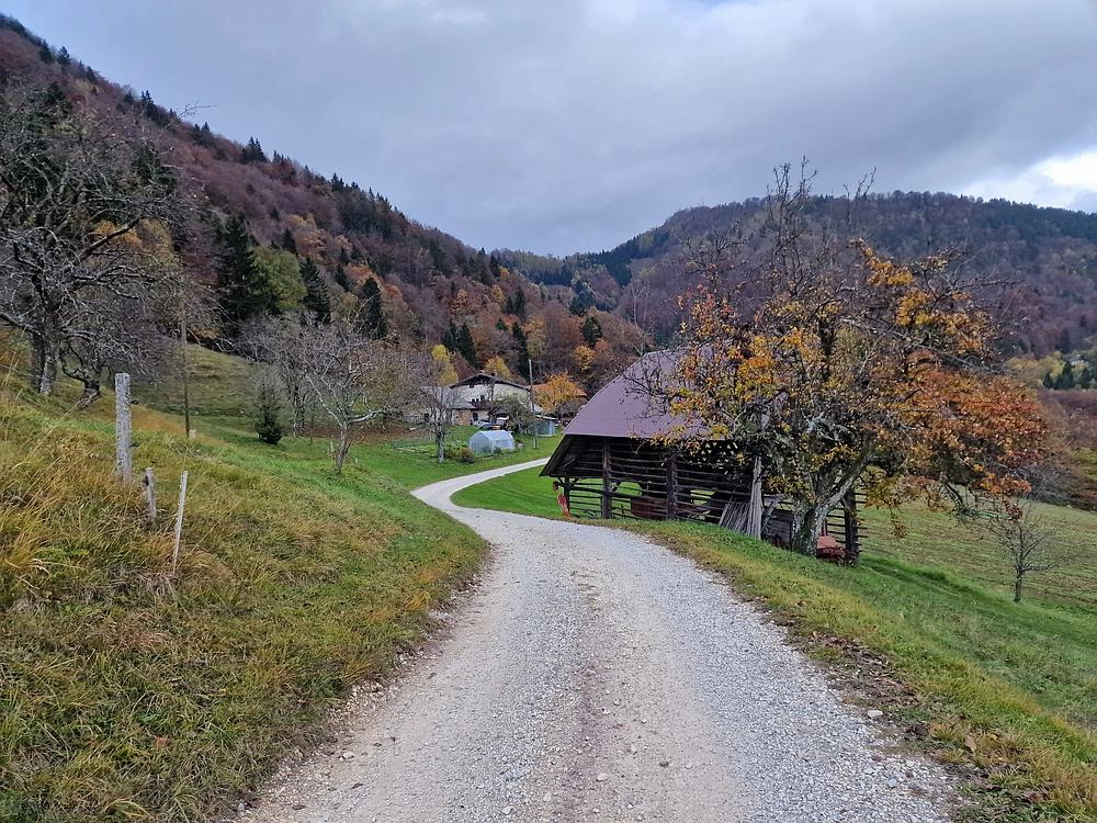 Mrzlica čez Zg. Čeče, 29. 10. 2025