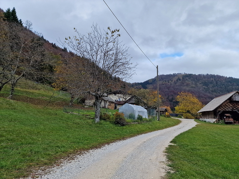 Mrzlica čez Zg. Čeče, 29. 10. 2025