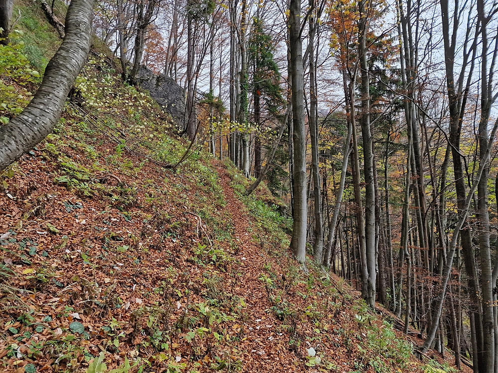 Mrzlica čez Zg. Čeče, 29. 10. 2025