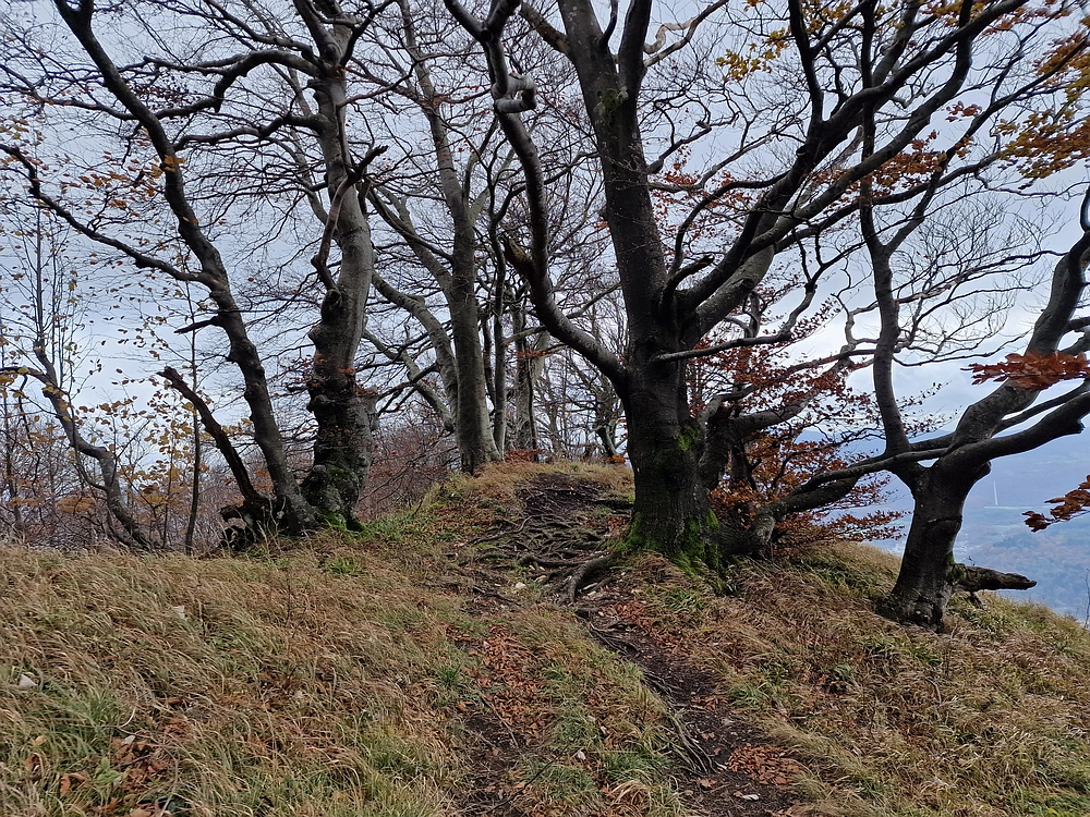 Mrzlica čez Zg. Čeče, 29. 10. 2025