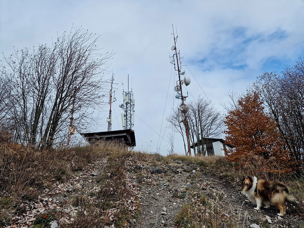 Mrzlica čez Zg. Čeče, 29. 10. 2025