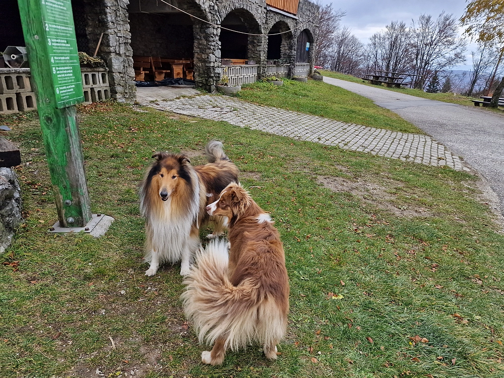 Mrzlica čez Zg. Čeče, 29. 10. 2025