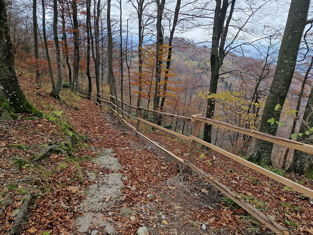 Mrzlica čez Zg. Čeče, 29. 10. 2025