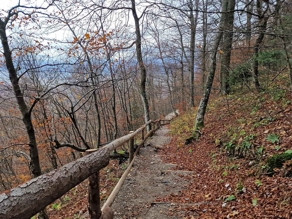 Mrzlica čez Zg. Čeče, 29. 10. 2025