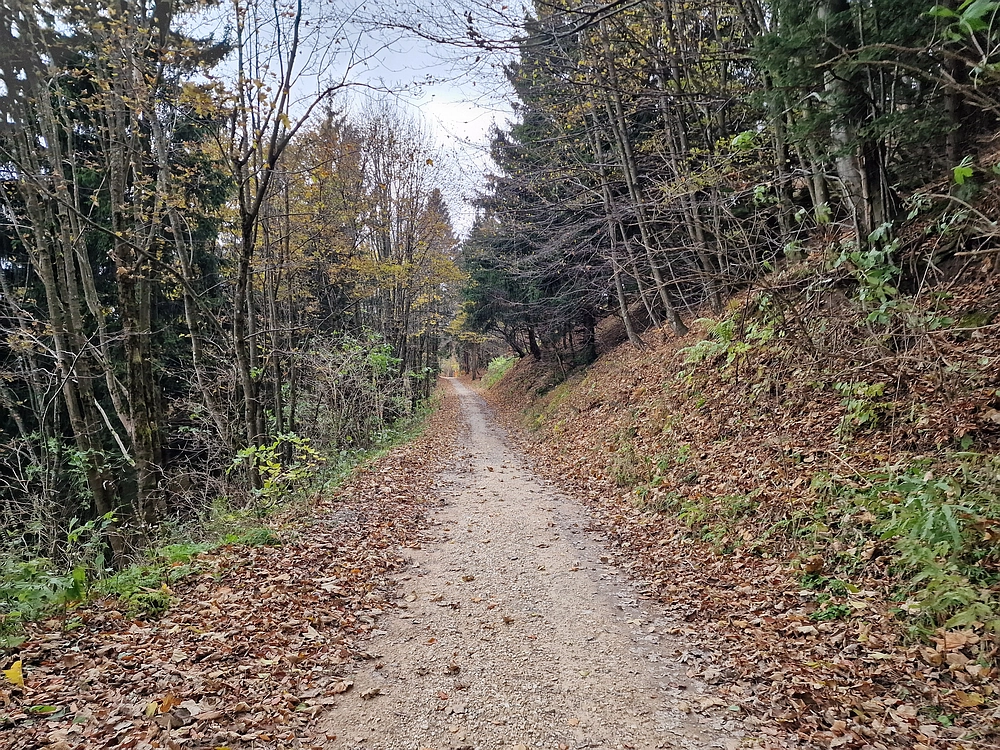 Mrzlica čez Zg. Čeče, 29. 10. 2025