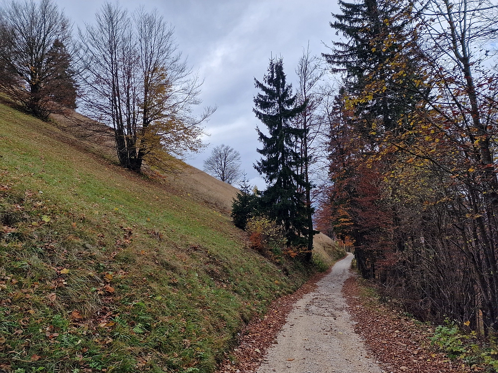 Mrzlica čez Zg. Čeče, 29. 10. 2025