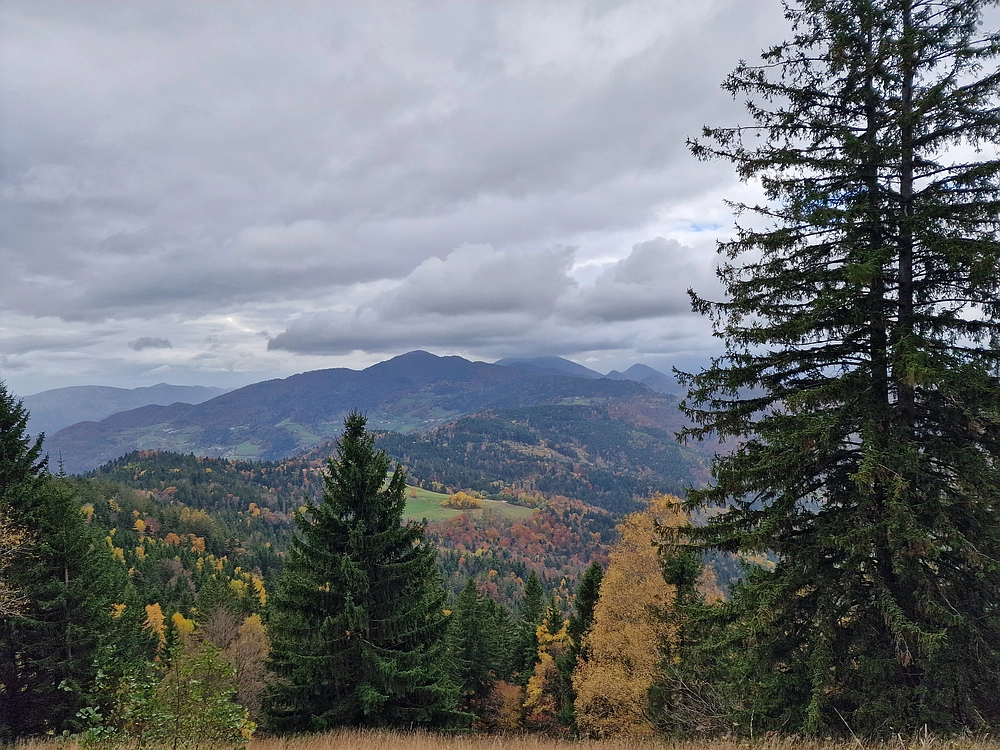 Mrzlica čez Zg. Čeče, 29. 10. 2025