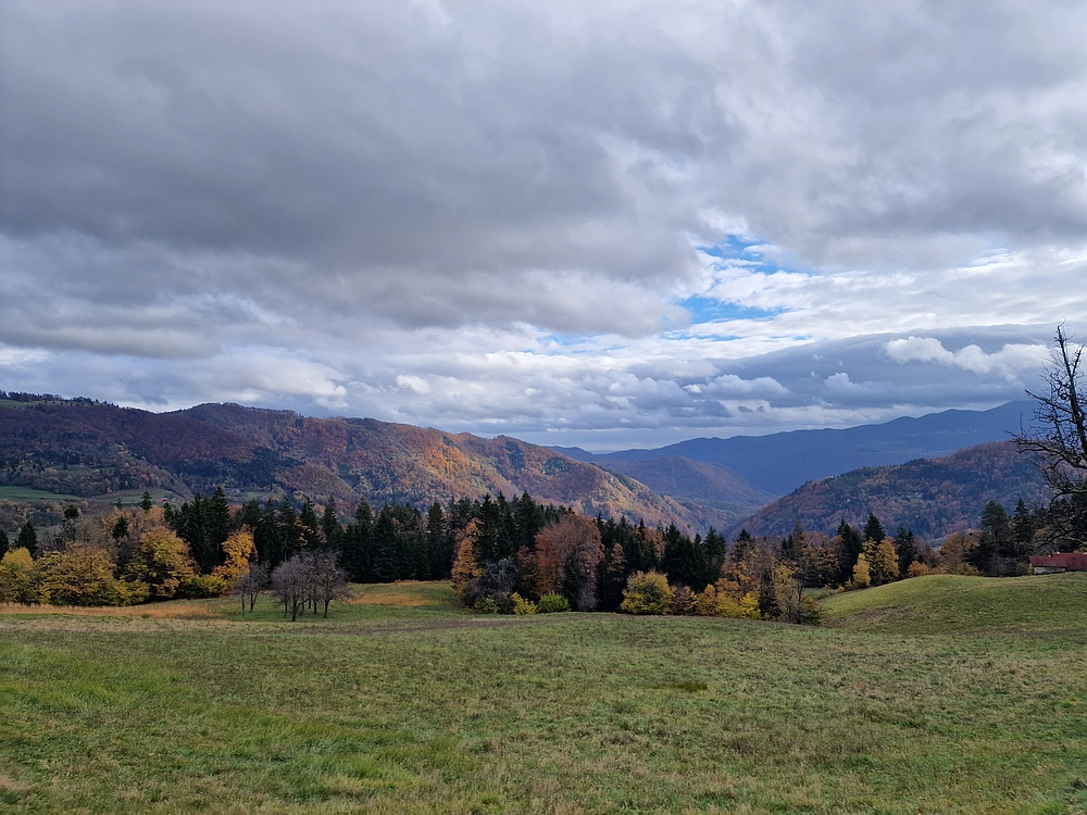 Mrzlica čez Zg. Čeče, 29. 10. 2025