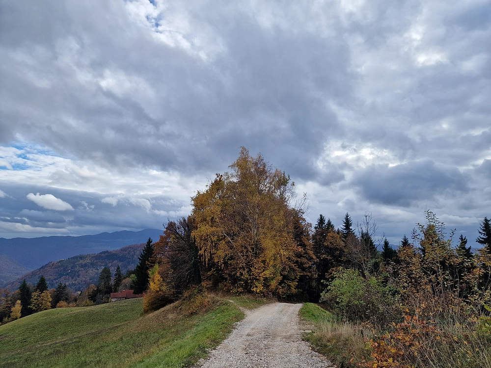 Mrzlica čez Zg. Čeče, 29. 10. 2025