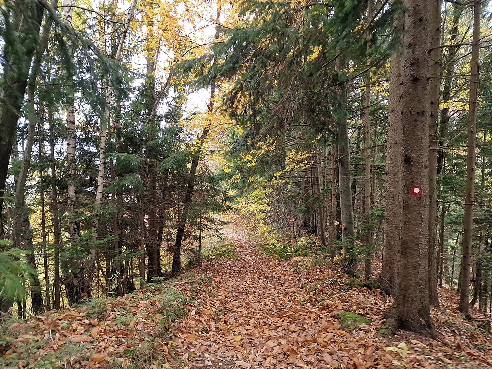 Mrzlica čez Zg. Čeče, 29. 10. 2025