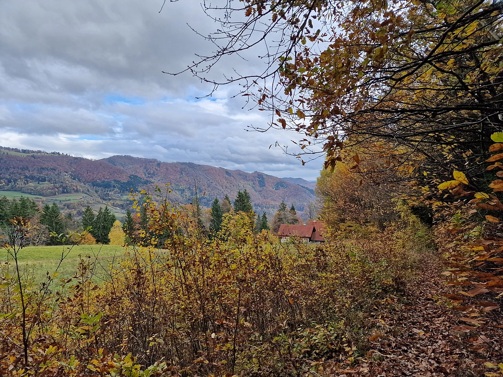 Mrzlica čez Zg. Čeče, 29. 10. 2025