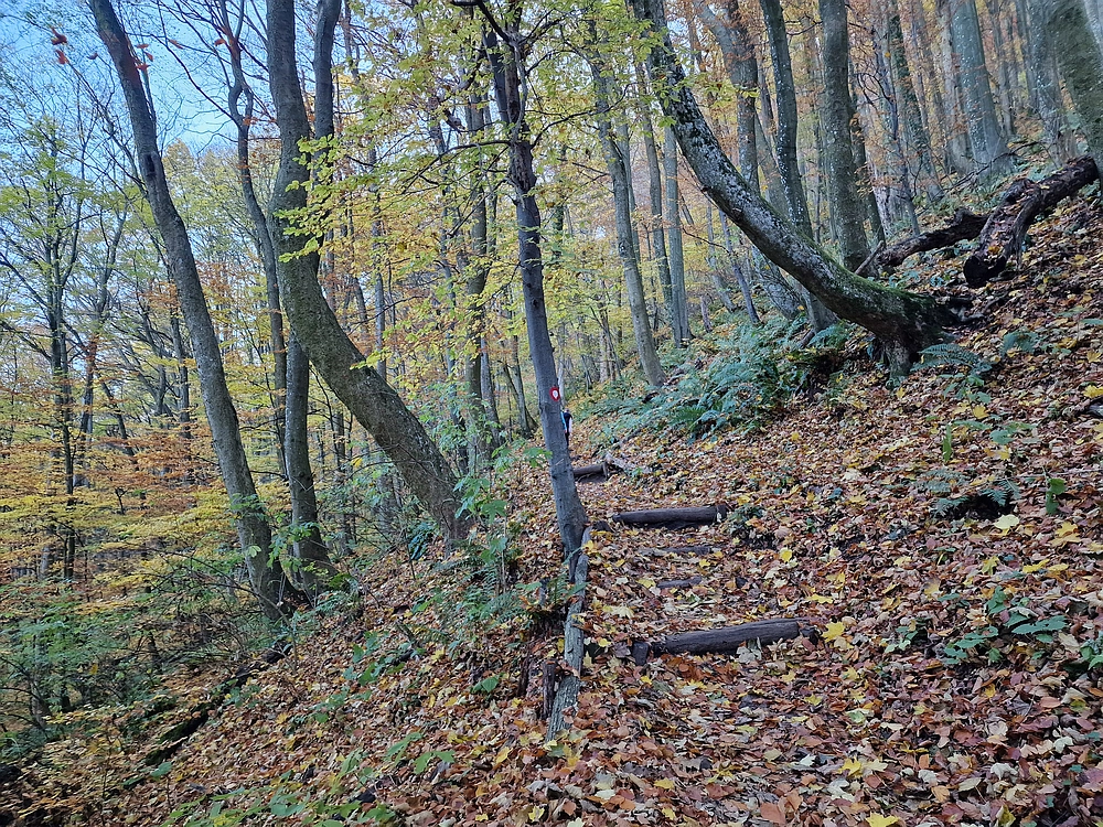 Donačka gora in Boč, 1. 11. 2025
