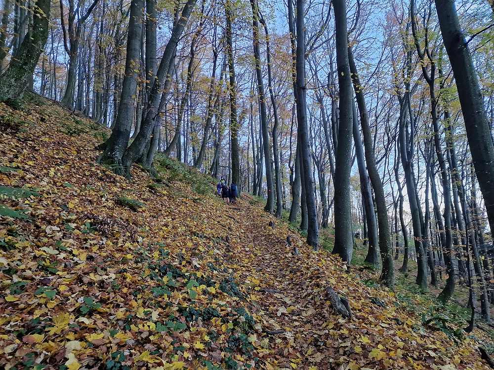 Donačka gora in Boč, 1. 11. 2025