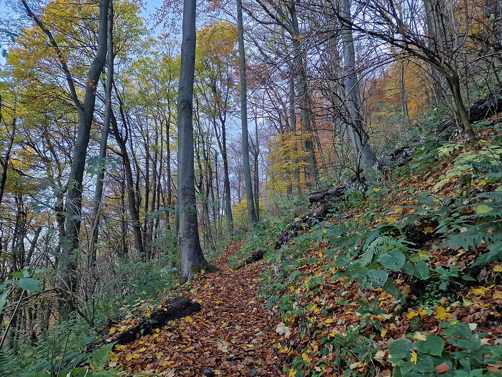 Donačka gora in Boč, 1. 11. 2025