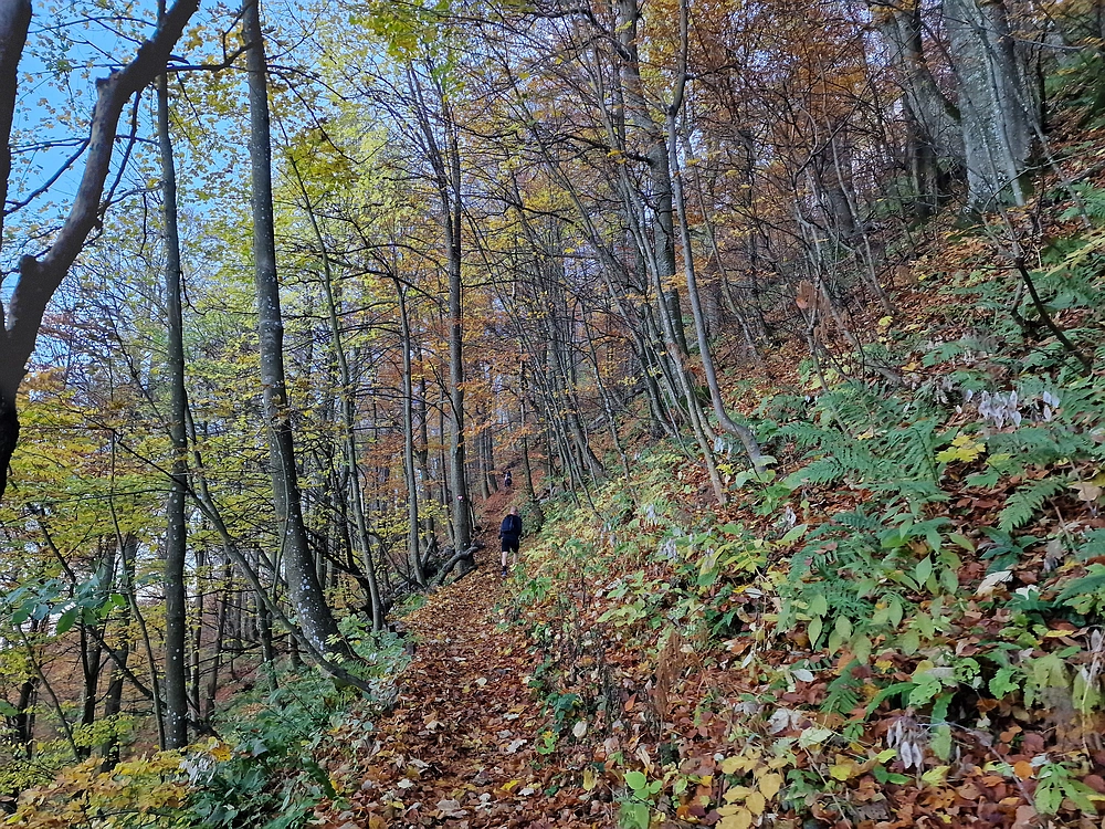 Donačka gora in Boč, 1. 11. 2025