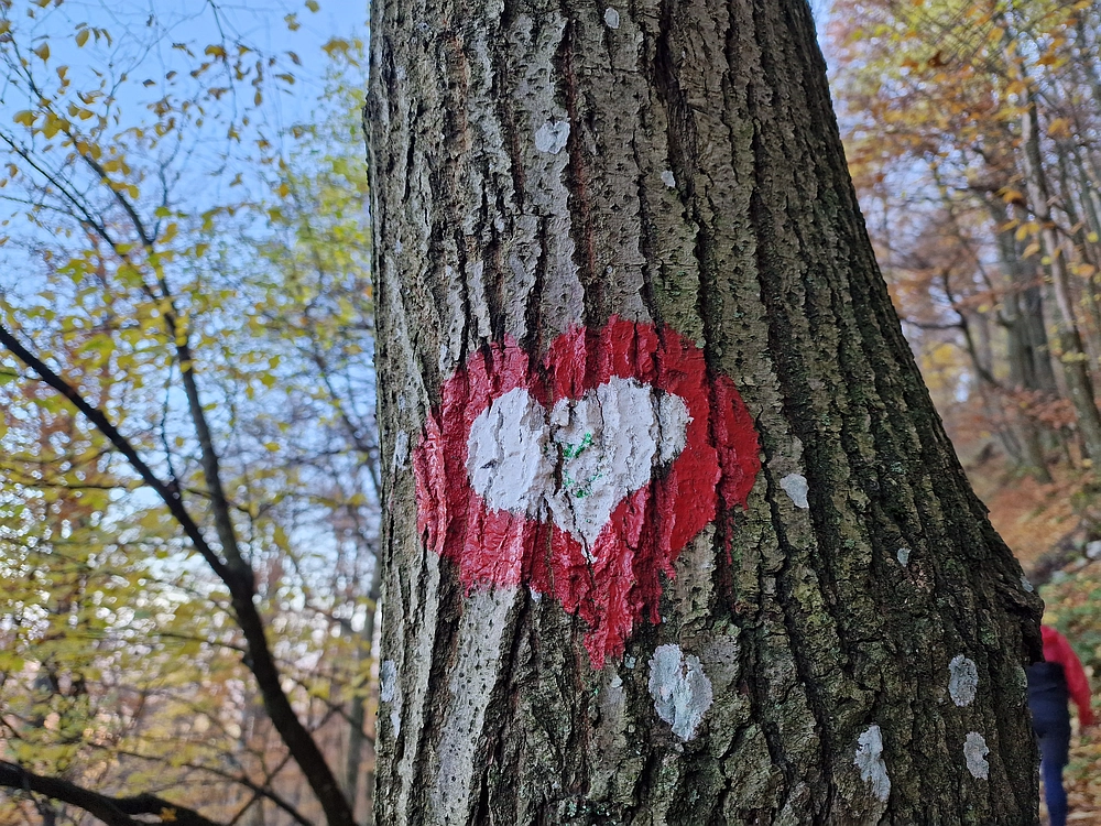 Donačka gora in Boč, 1. 11. 2025