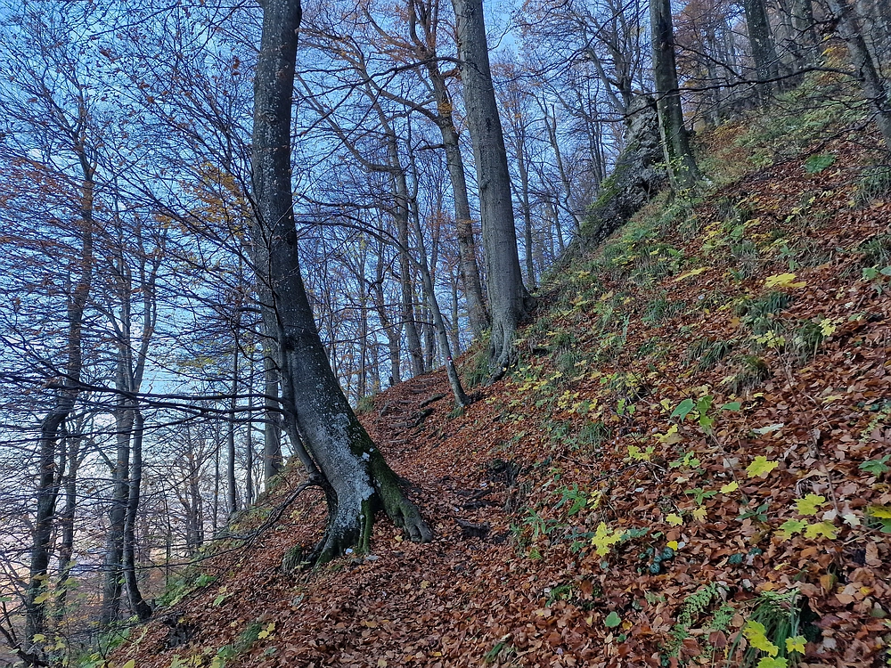 Donačka gora in Boč, 1. 11. 2025
