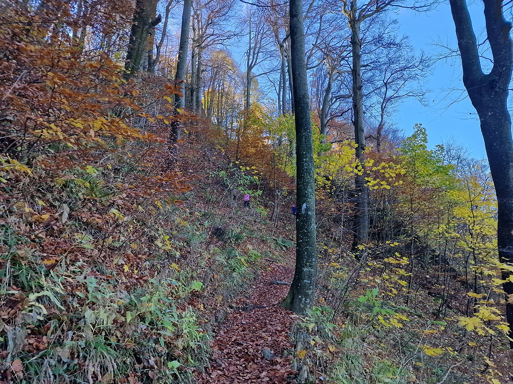 Donačka gora in Boč, 1. 11. 2025