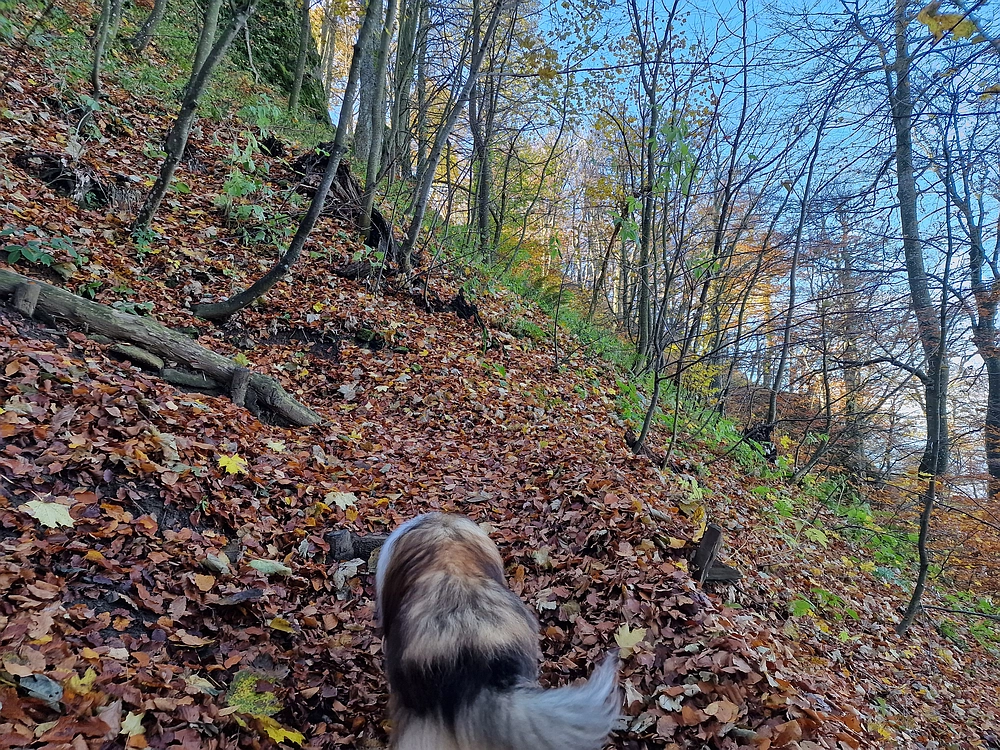 Donačka gora in Boč, 1. 11. 2025