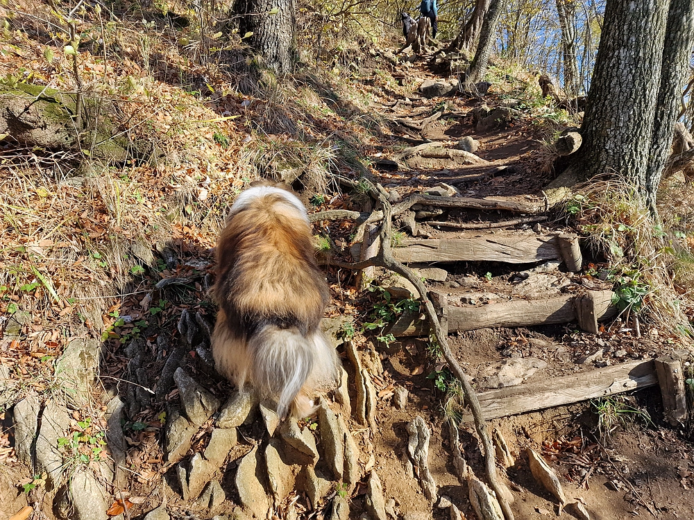 Donačka gora in Boč, 1. 11. 2025