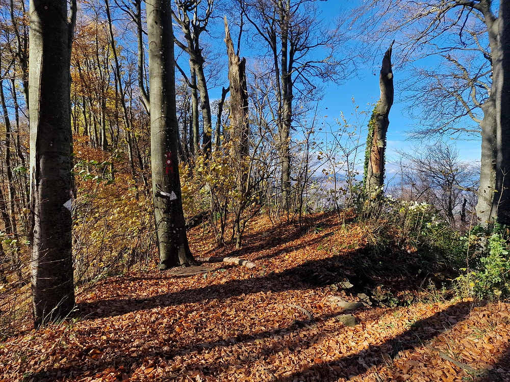 Donačka gora in Boč, 1. 11. 2025