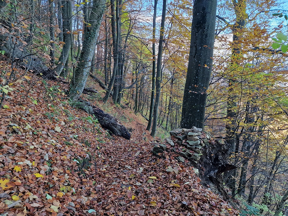 Donačka gora in Boč, 1. 11. 2025