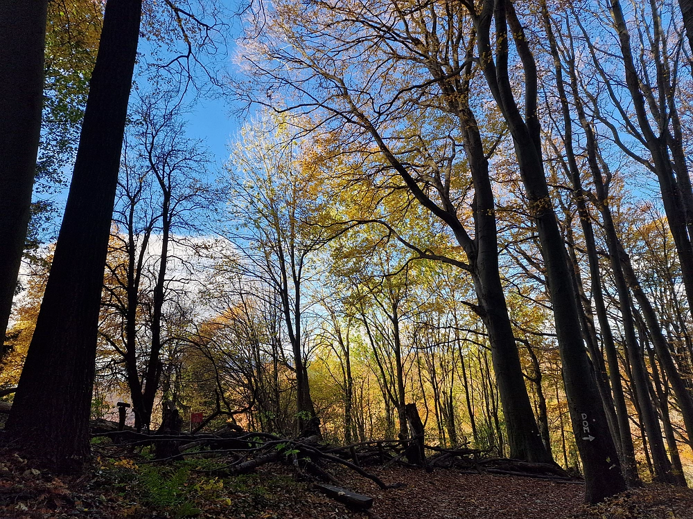 Donačka gora in Boč, 1. 11. 2025