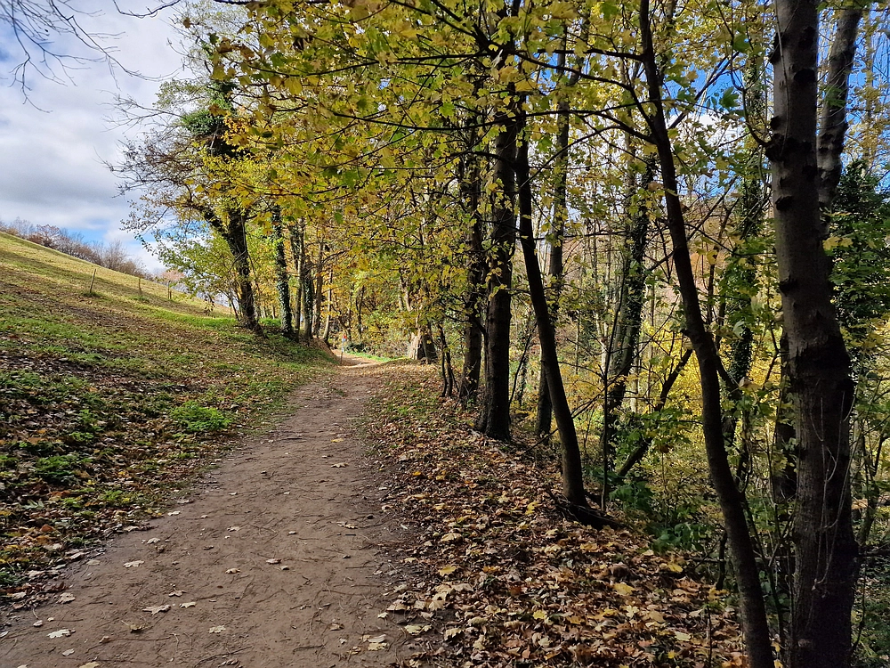 Donačka gora in Boč, 1. 11. 2025