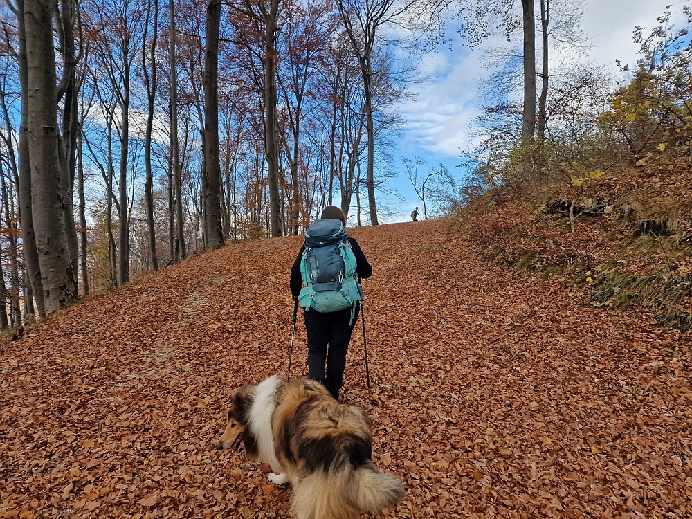 Donačka gora in Boč, 1. 11. 2025