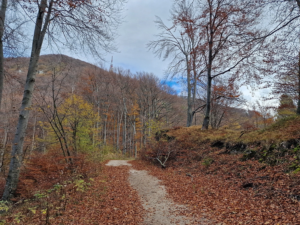 Donačka gora in Boč, 1. 11. 2025