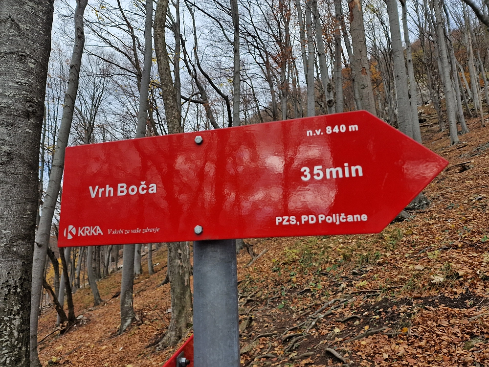 Donačka gora in Boč, 1. 11. 2025