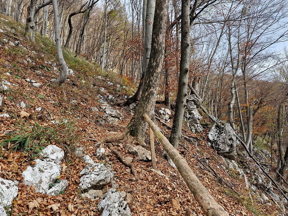 Donačka gora in Boč, 1. 11. 2025