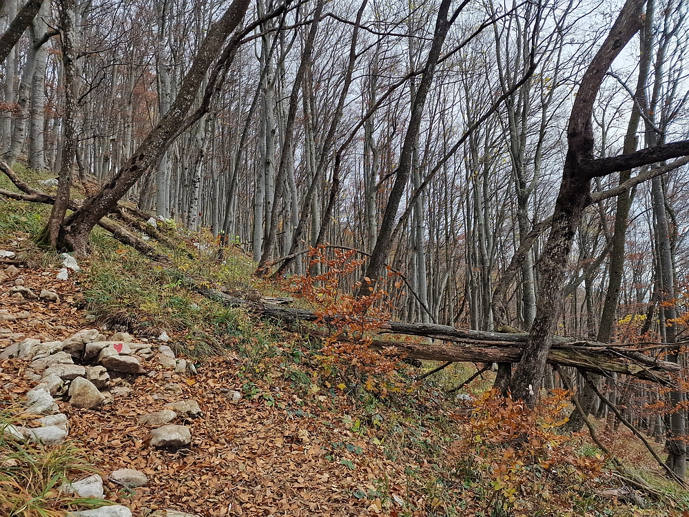 Donačka gora in Boč, 1. 11. 2025