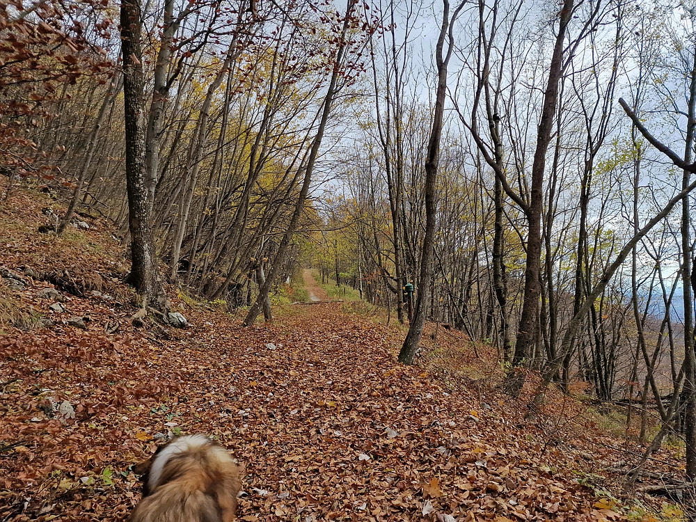 Donačka gora in Boč, 1. 11. 2025